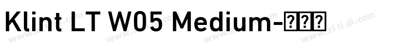 Klint LT W05 Medium字体转换